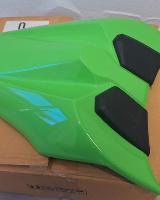 Monoposto Ninja 650 / Z650