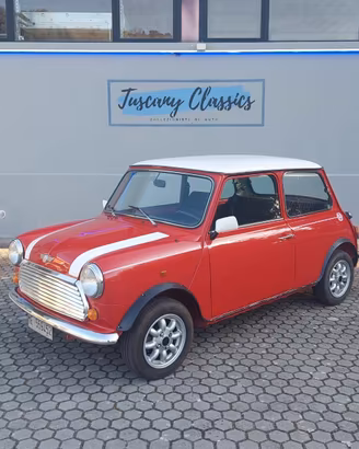 Rover Mini 1.3 cat Cooper
