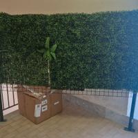 siepe di bosso artificiale 