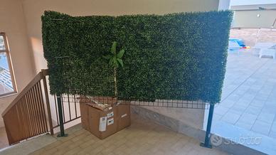 siepe di bosso artificiale 