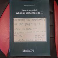 Analisi Matematica 1 + Esercitazioni Bramanti