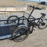 Cargo bike in 2 mesi (leggere descrizione)