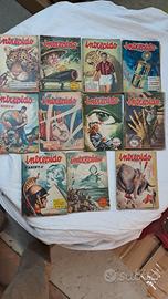 Albi a Fumetti Intrepido anni 50/60