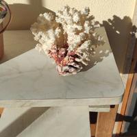 soprammobile corallo 