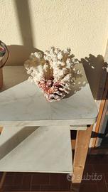 soprammobile corallo 