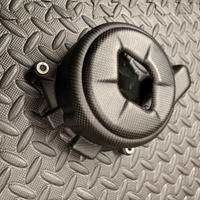 Protezione  alternatore carbonio panigale v4