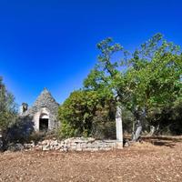 Rustico a Putignano, 2 locali