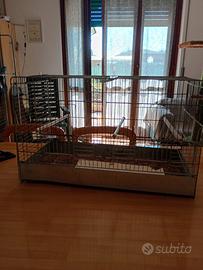 gabbia 