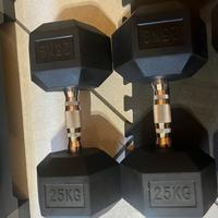 Coppia Manubri nuovi 25kg