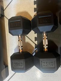 Coppia Manubri nuovi 25kg