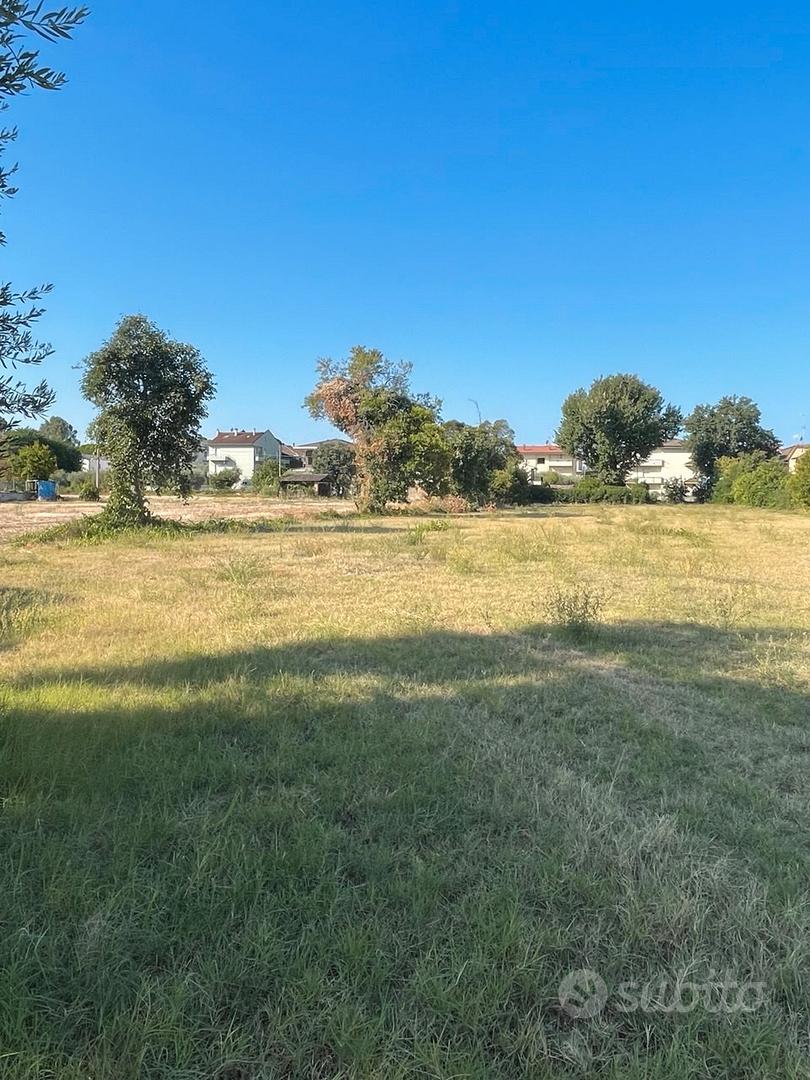 terreno agricolo 5000 mq 2 accessi in abitato - Vista 3