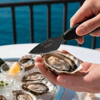 Coltelli per ostriche in acciaio