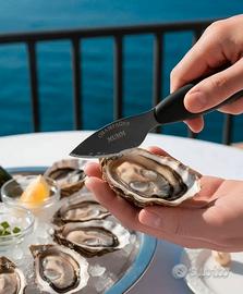 Coltelli per ostriche in acciaio