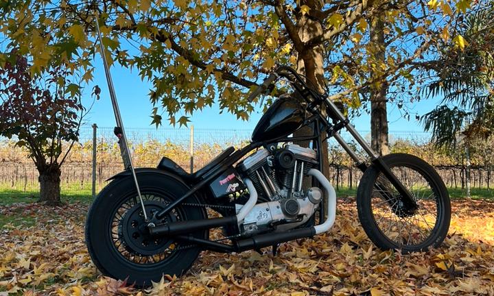 Harley davidson chopper