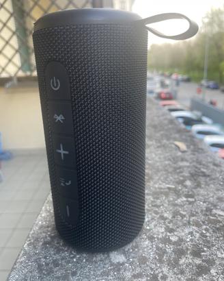 cassa bluetooth peaq