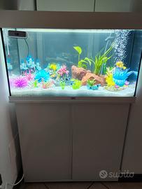 ACQUARIO 