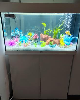 ACQUARIO 