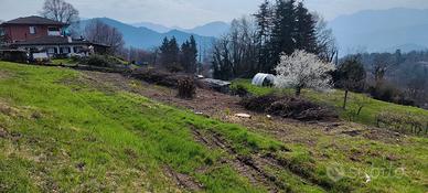 Terreno Edificabile con cascinale