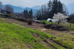 Terreno Edificabile con cascinale