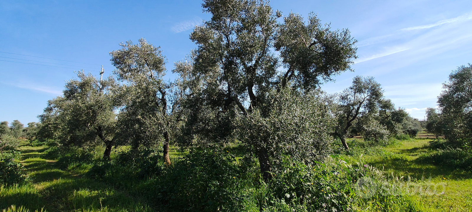 Terreno a 1 km da Mariotto - Vista 3