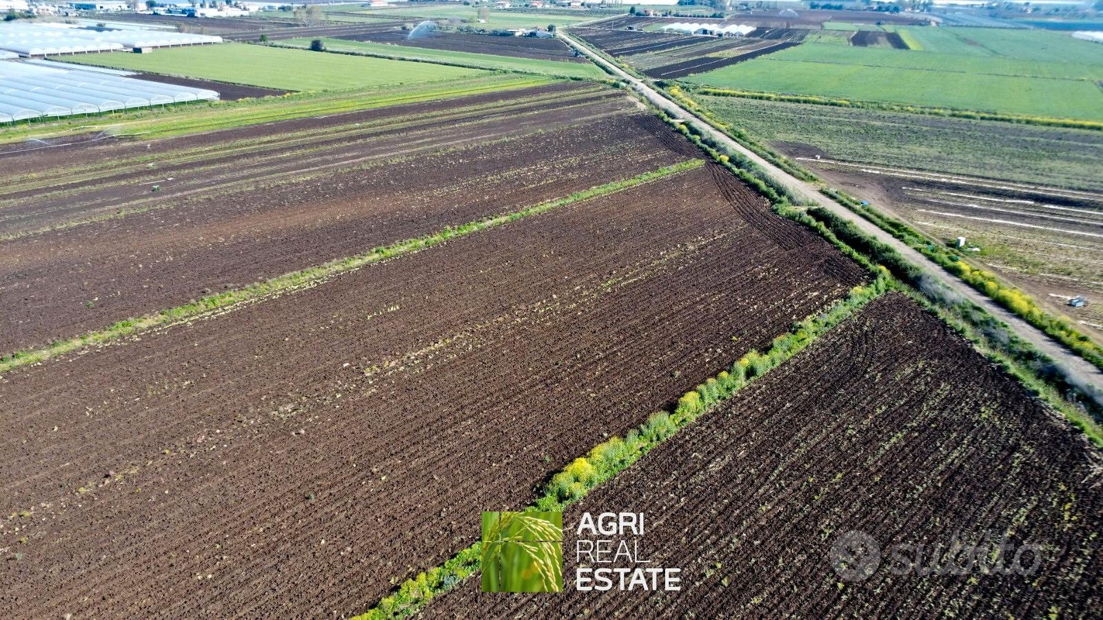 Terreno agricolo 4 ettari fronte strada con pozzo - Vista 4