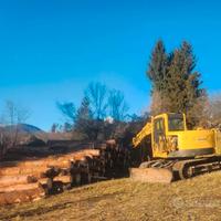 Escavatore con processore