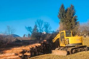 Escavatore con processore