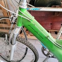 Bicicletta MTB