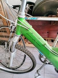 Bicicletta MTB