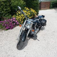 Yamaha 1600 Wild Star, anno 2001