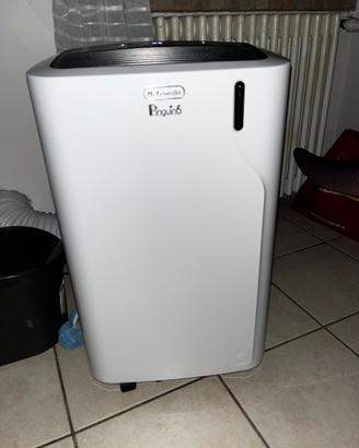Pinguino delonghi