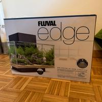 Acquario Askol Fluval Edge 23L