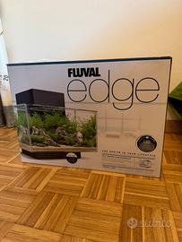 Acquario Askol Fluval Edge 23L