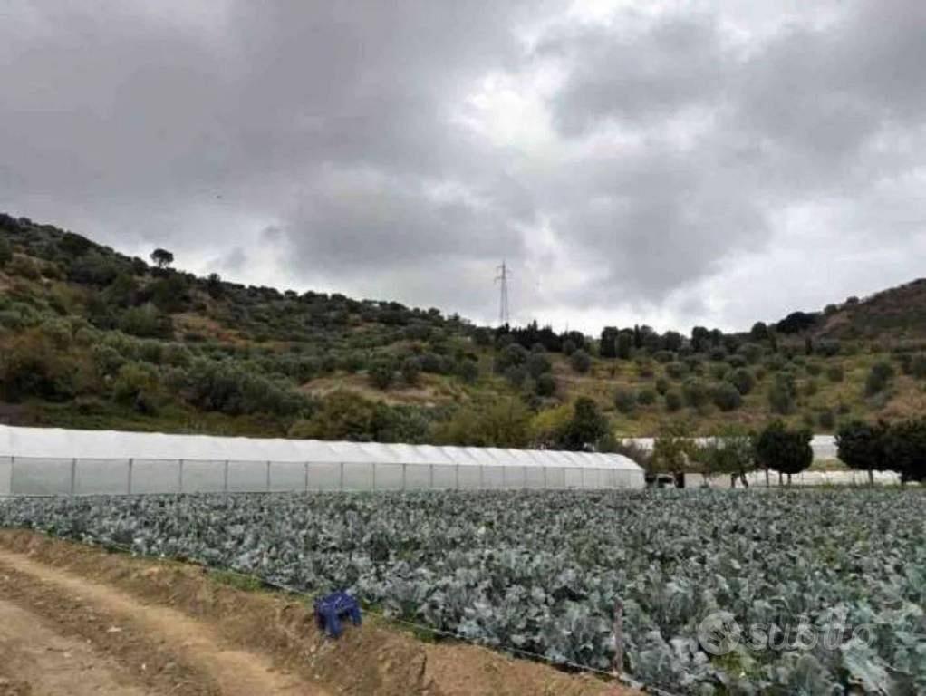 Immobile in asta di 120 m² a Petrizzi - Vista 5