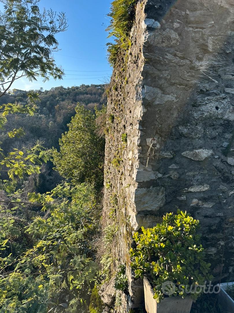 Rustico in pietra con uliveto e vigneto - Vista 5