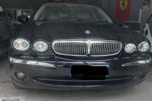 meravigliosa  jaguar
