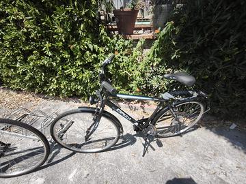 Bici citybike esperia
