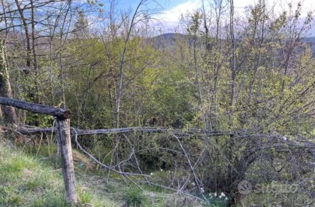 Immobile in asta di 14363 m² a Monzuno - Vista 3