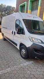Ducato maxi tetto alto 