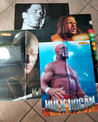 Lotto poster Wrestling WWE