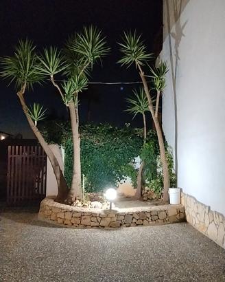 MINI APPARTAMENTO CON GIARDINO A MATINO 