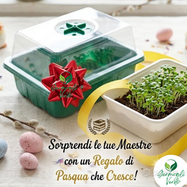 KIT COLVAZIONE MICROGREENS