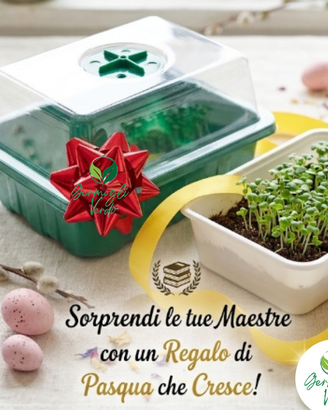 KIT COLVAZIONE MICROGREENS