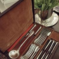 SERVIZIO POSATE ALPACCA ARG.