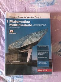 Matematica multimediale azzurro 1
