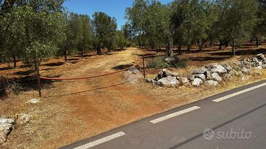 TER. AGRICOLO A GROTTAGLIE