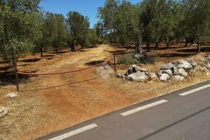 TER. AGRICOLO A GROTTAGLIE