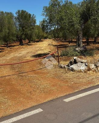 TER. AGRICOLO A GROTTAGLIE