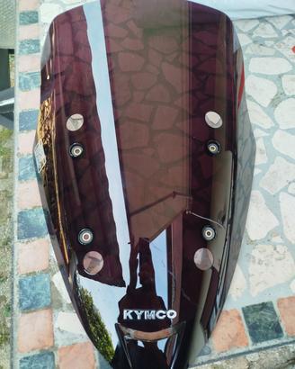 parabrezza estivo Kymco X cutting 300r