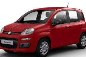 FIAT Panda 1.0 Hybrid Pop 70CV PRONTA CONSEGNA